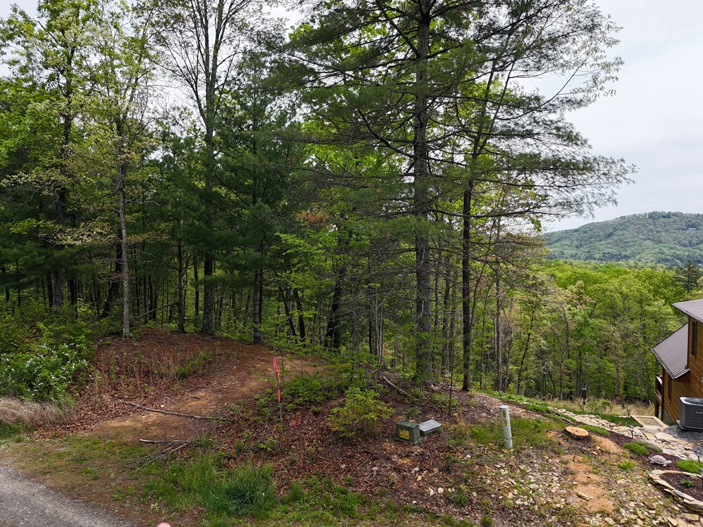 Lot 20 Crabapple Lane