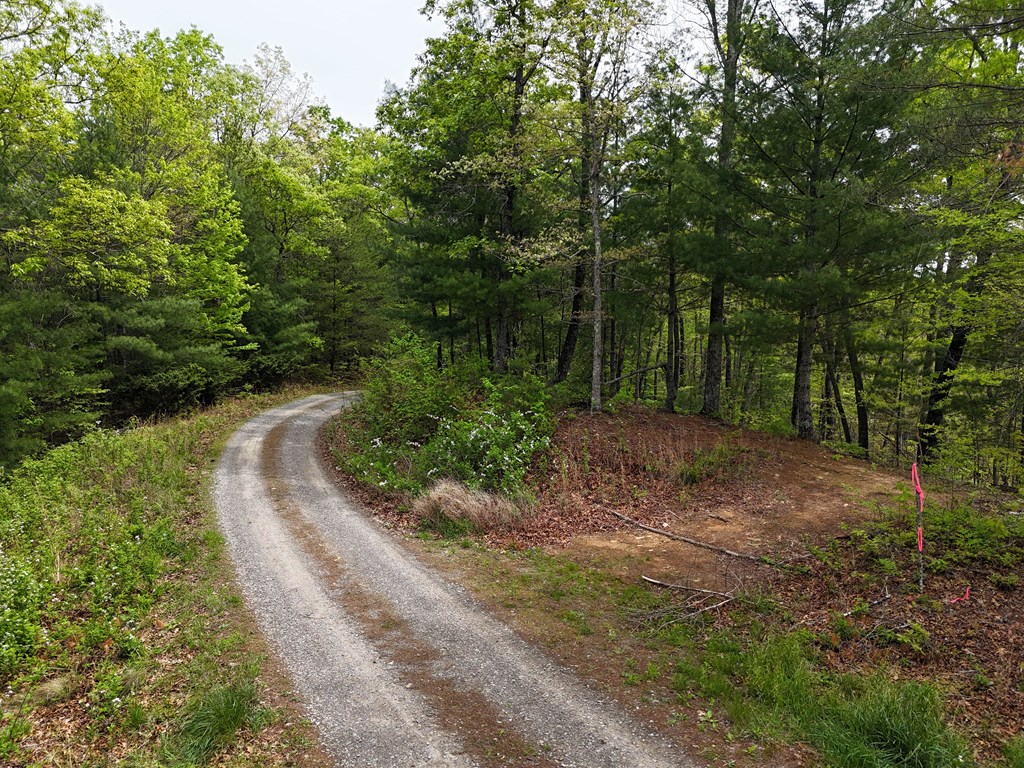 Lot 20 Crabapple Lane