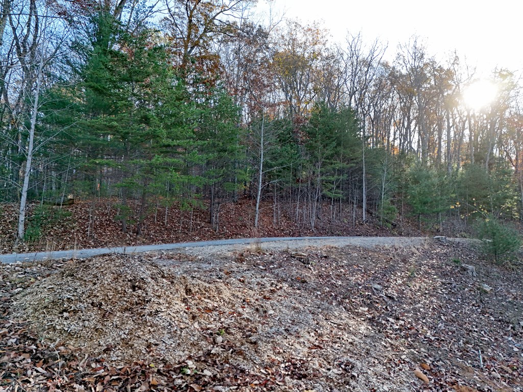 Lt 20&21 Red Twig Road