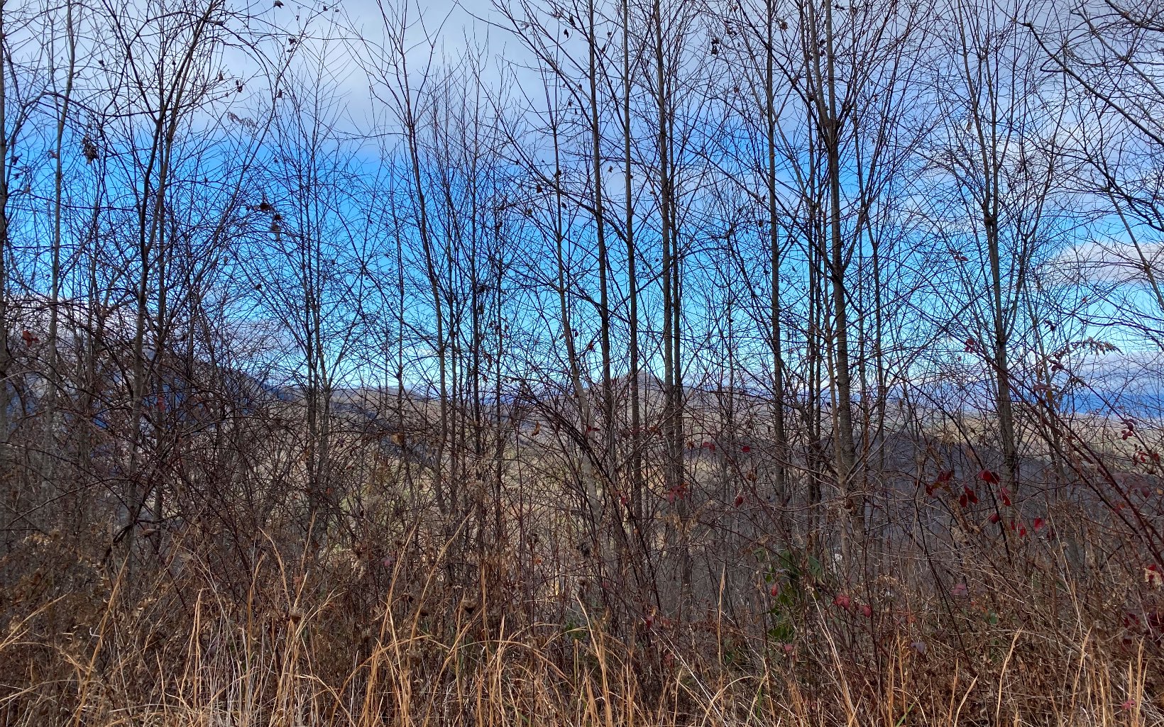 Lot G3 Georgianna Lane