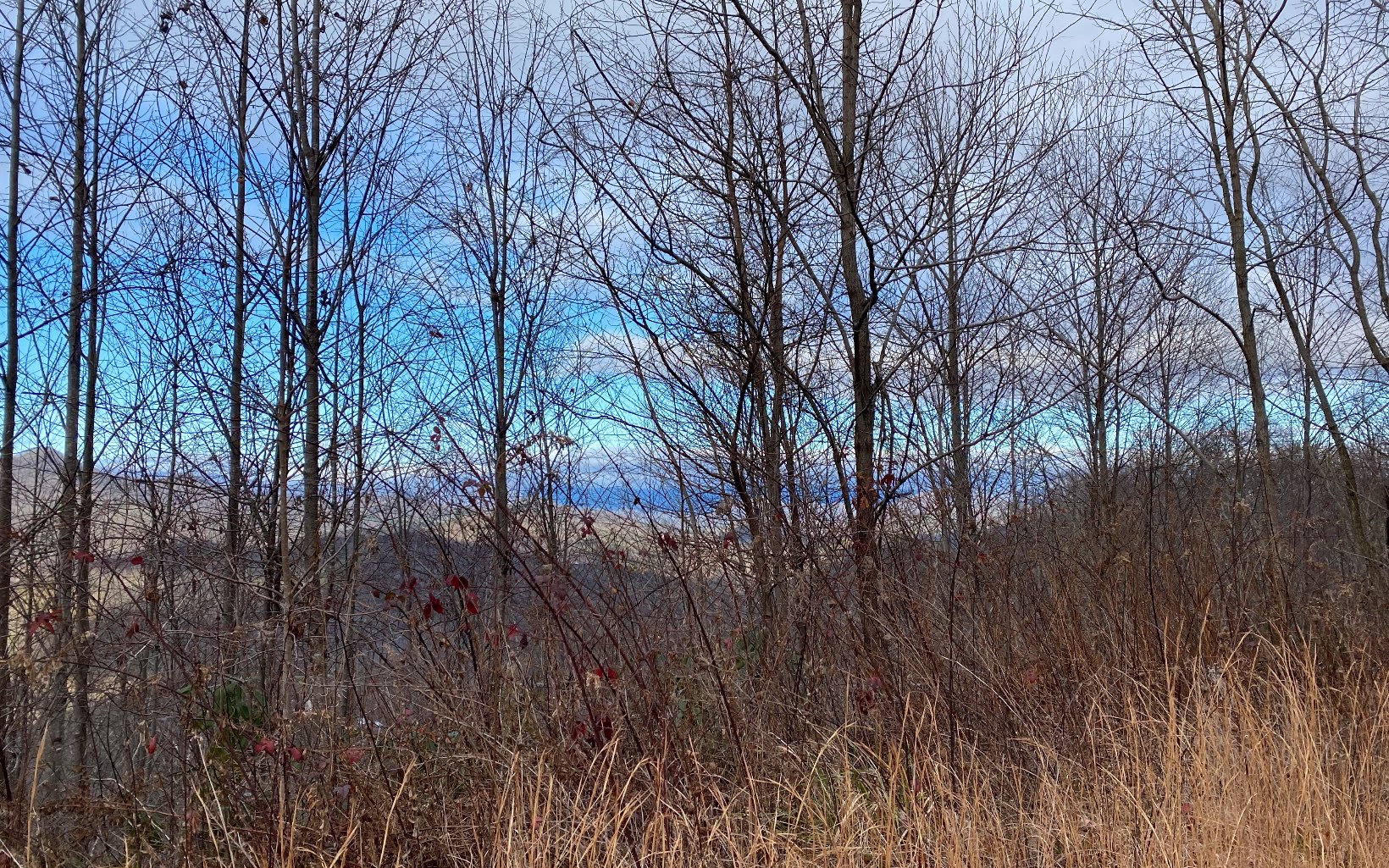 Lot G3 Georgianna Lane