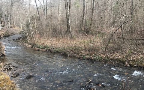 13 Tusquittee Crossing Hayesville NC 28904