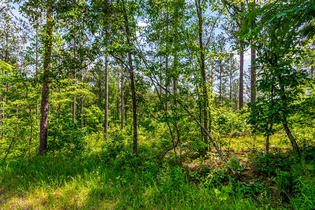 32 Oak Hill Road