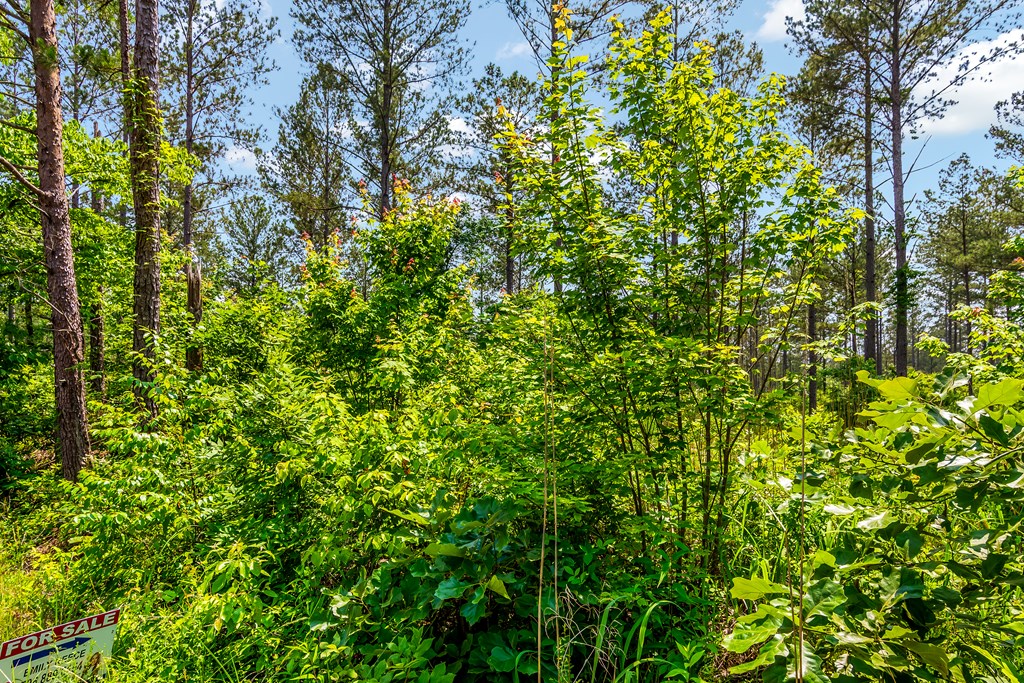 32 Oak Hill Road