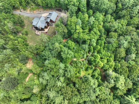 A home in Blue Ridge