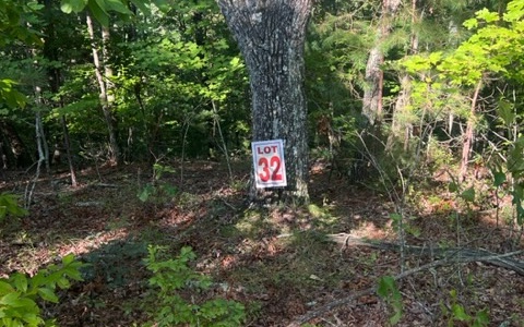 LT 32 Buck Creek Road