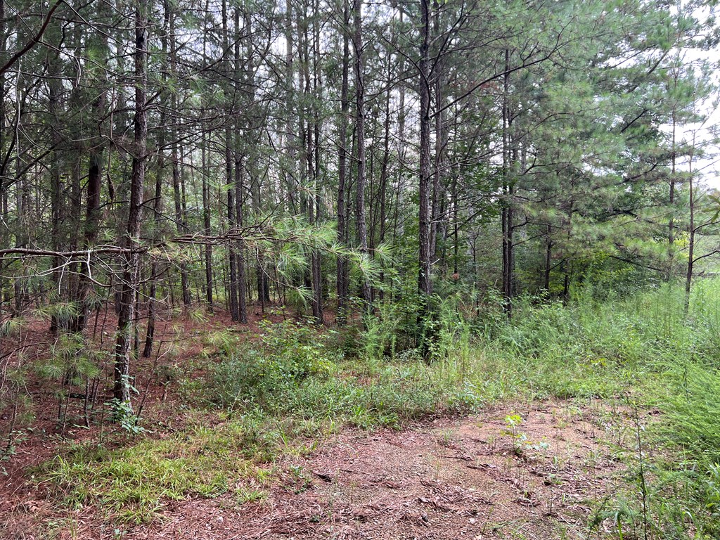 00 NW Timberwood Road