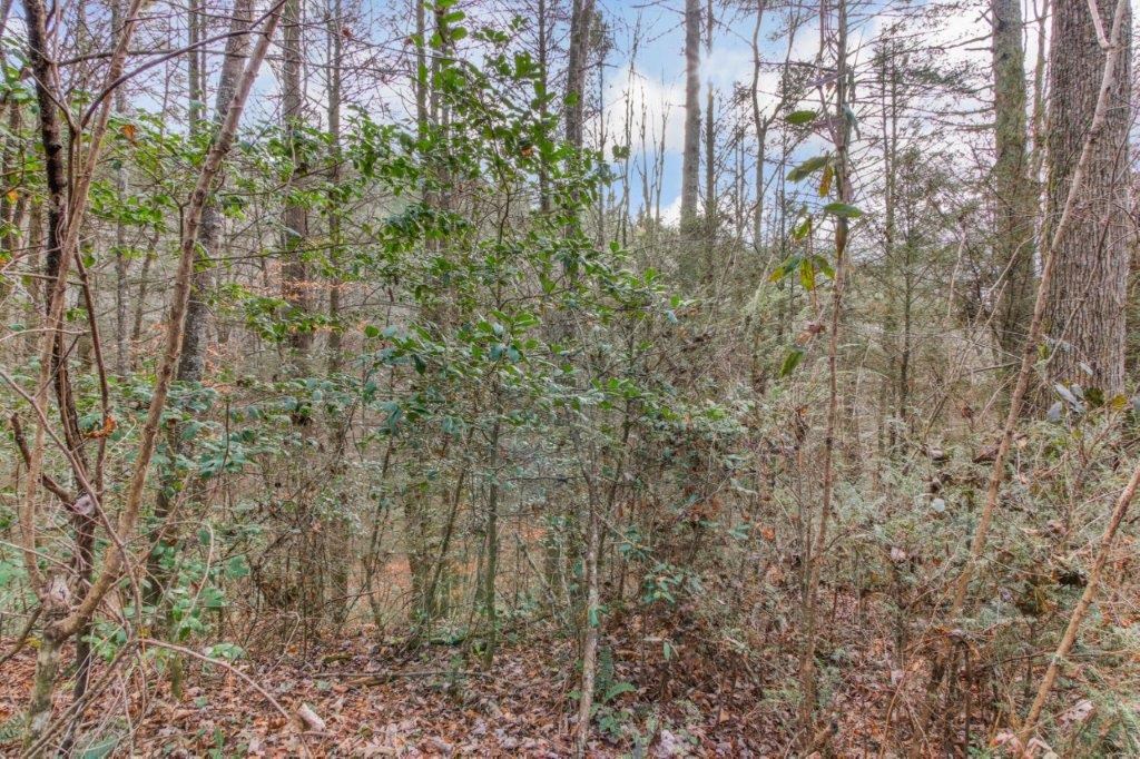 Lot 2 Laurel Overlook Road