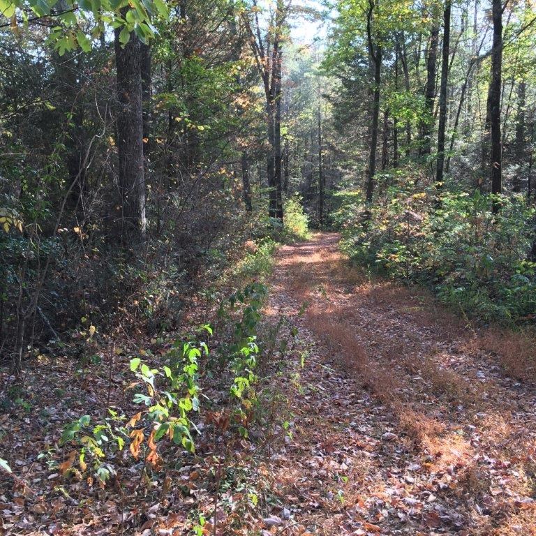 Lot 2 Laurel Overlook Road