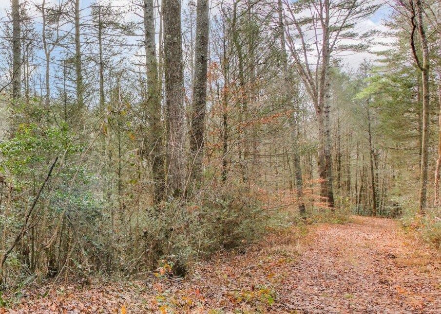 Lot 2 Laurel Overlook Road
