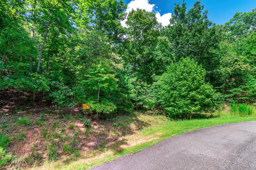 Lot 22 Meadow Brook Trail