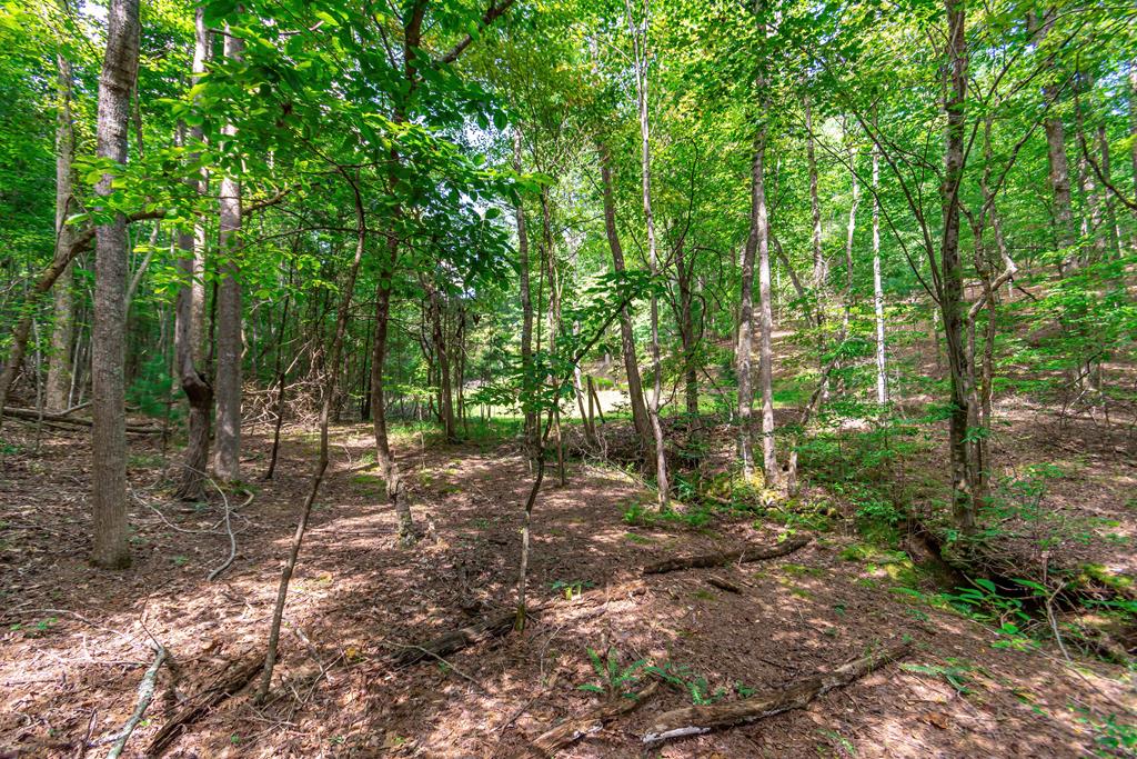 Lot 22 Meadow Brook Trail