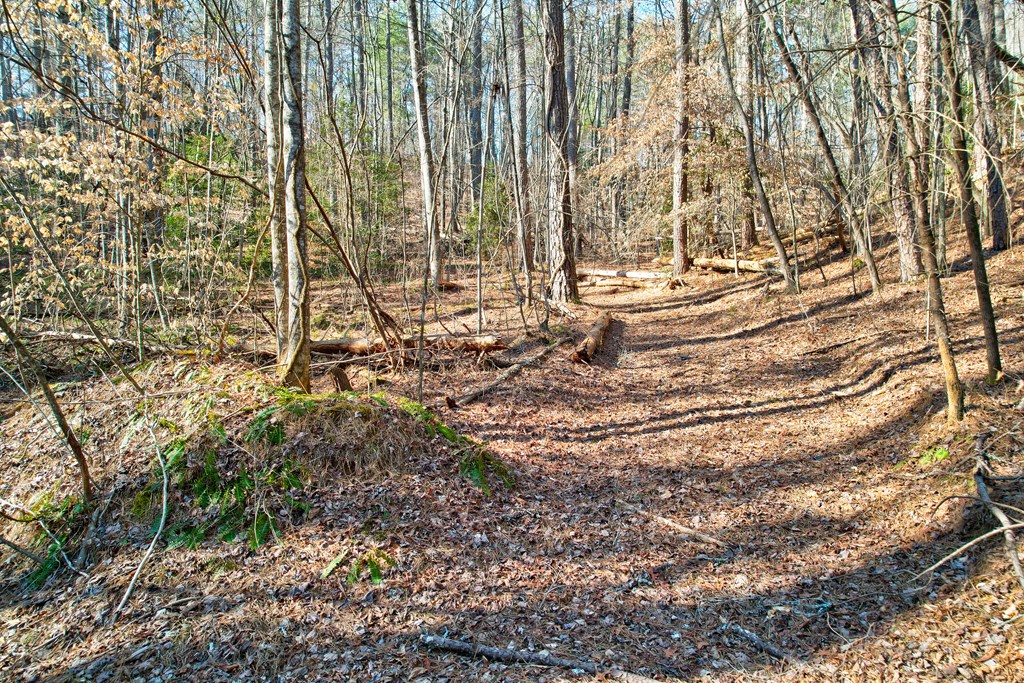 673 Harold Pritchett Road