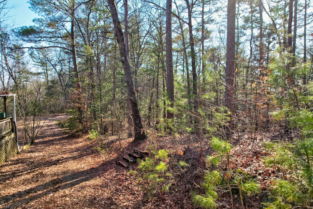 673 Harold Pritchett Road