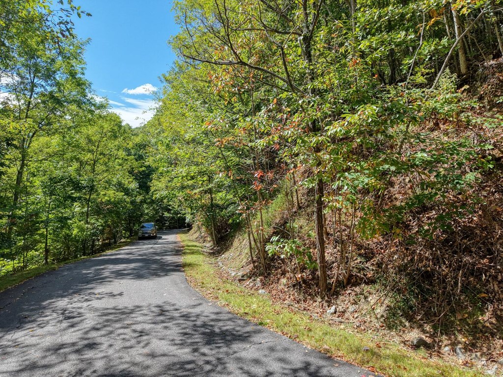Lot 35 Overlook At Y. H.
