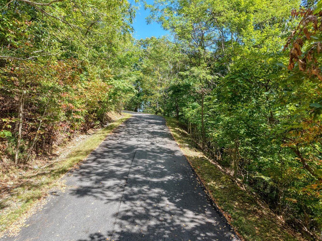 Lot 35 Overlook At Y. H.