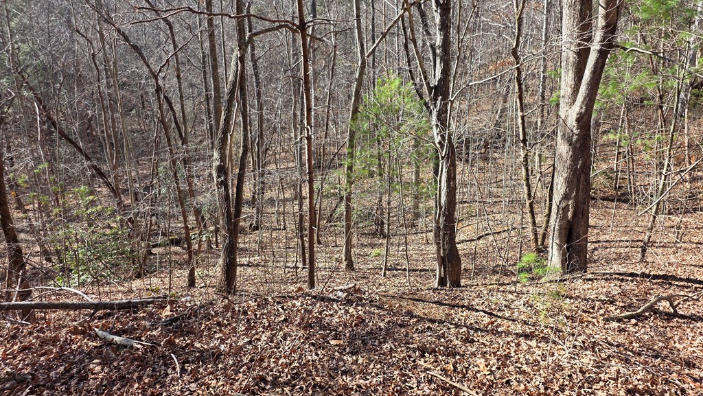 Lt 11 Mountain Laurel Est.