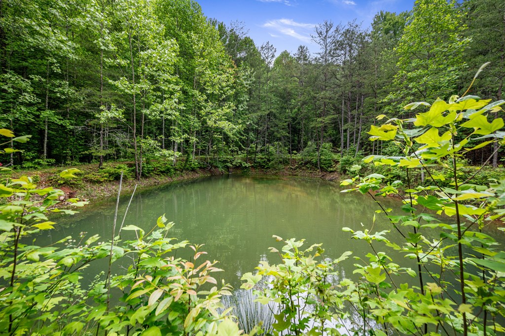 15.67Acs Piney Acres Road