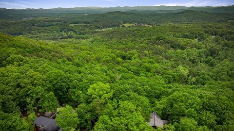 15.67Acs Piney Acres Road Blue Ridge GA 30513