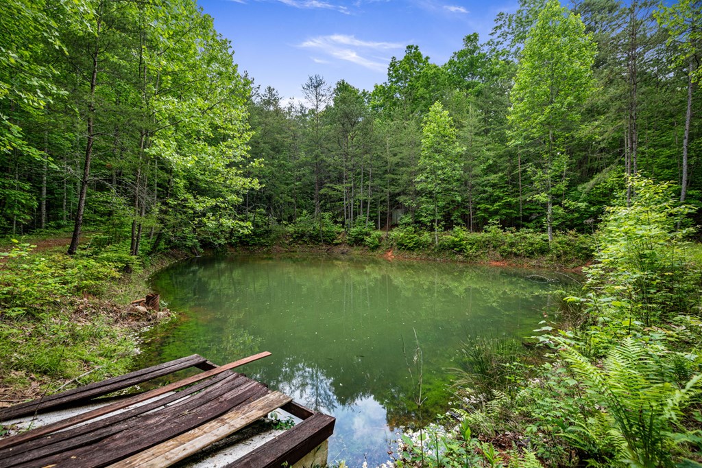 15.67Acs Piney Acres Road