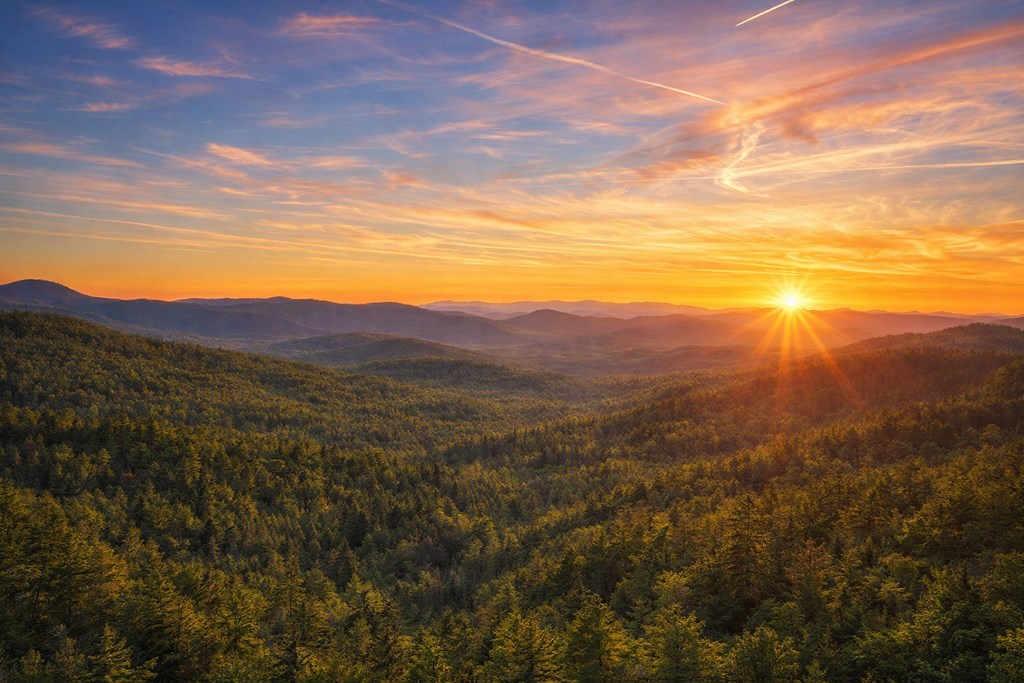 2889 Old Parker Place Road