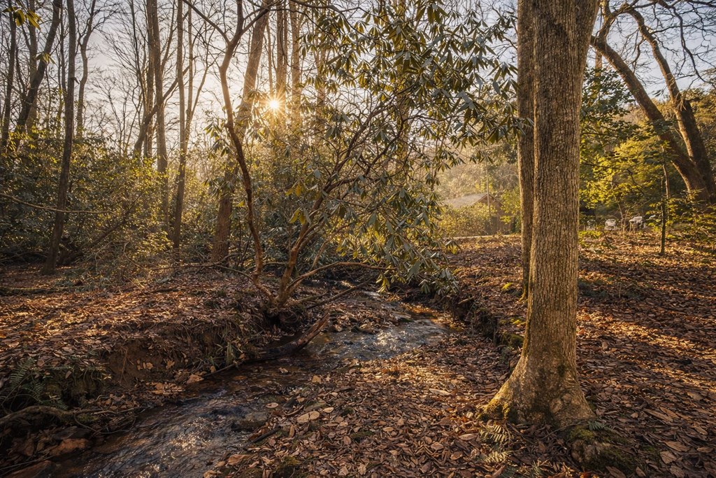 2889 Old Parker Place Road