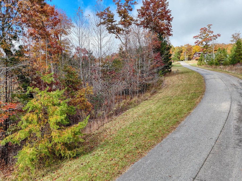 LT 29 Sharp Top Settlement