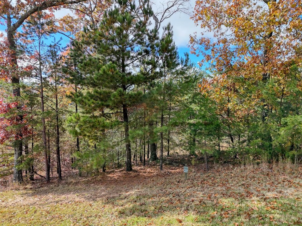 LT 29 Sharp Top Settlement