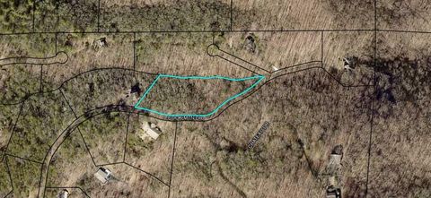 Lot 9 Cook Mountain Estate Blairsville GA 30512