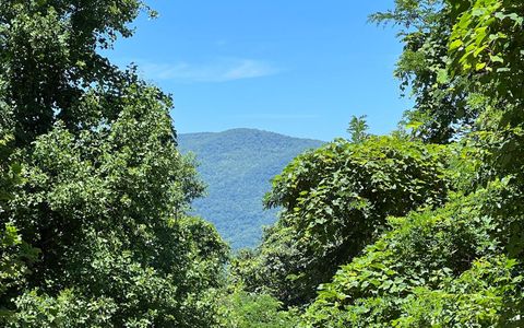 101AC Lori's Mountain Hayesville NC 28904