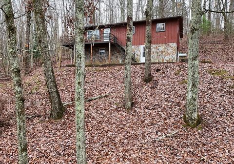 A home in Blue Ridge