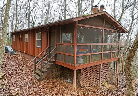 A home in Blue Ridge