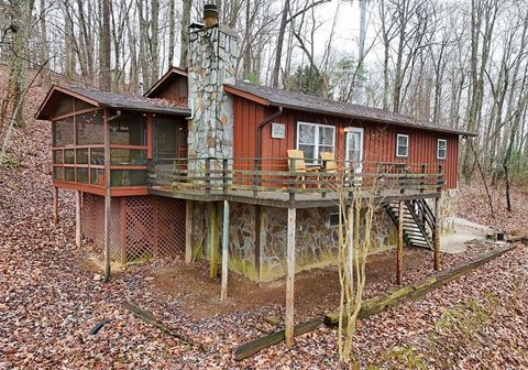 A home in Blue Ridge