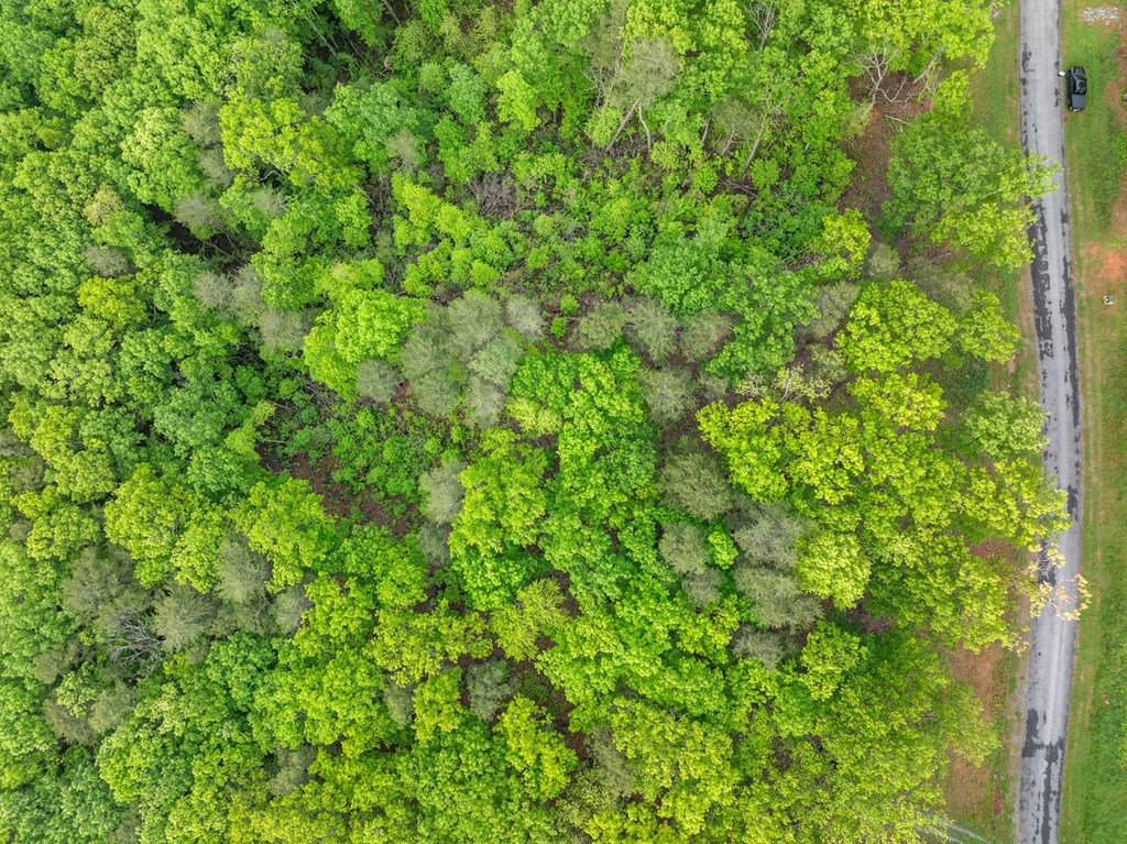 Lot 53 High Summit Drive