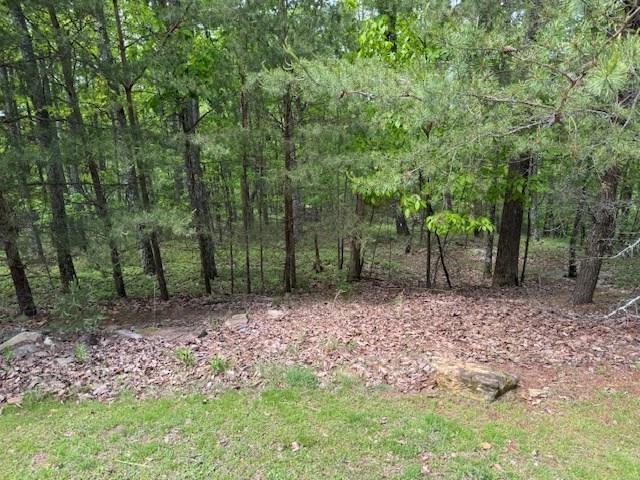Lot 251 Owl Ridge Way