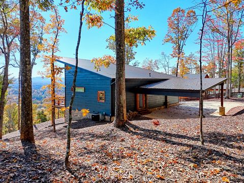 A home in Mineral Bluff