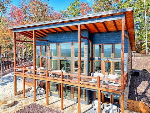 530 Tower Road Mineral Bluff GA 30559