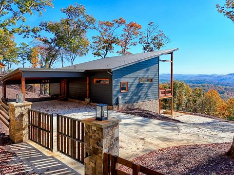 A home in Mineral Bluff