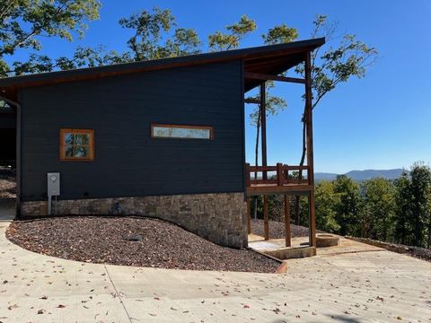 A home in Mineral Bluff