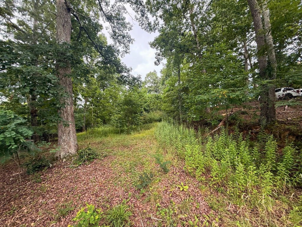 1.58 AC Chatuge Shores Circle