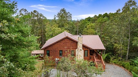 A home in Mineral Bluff