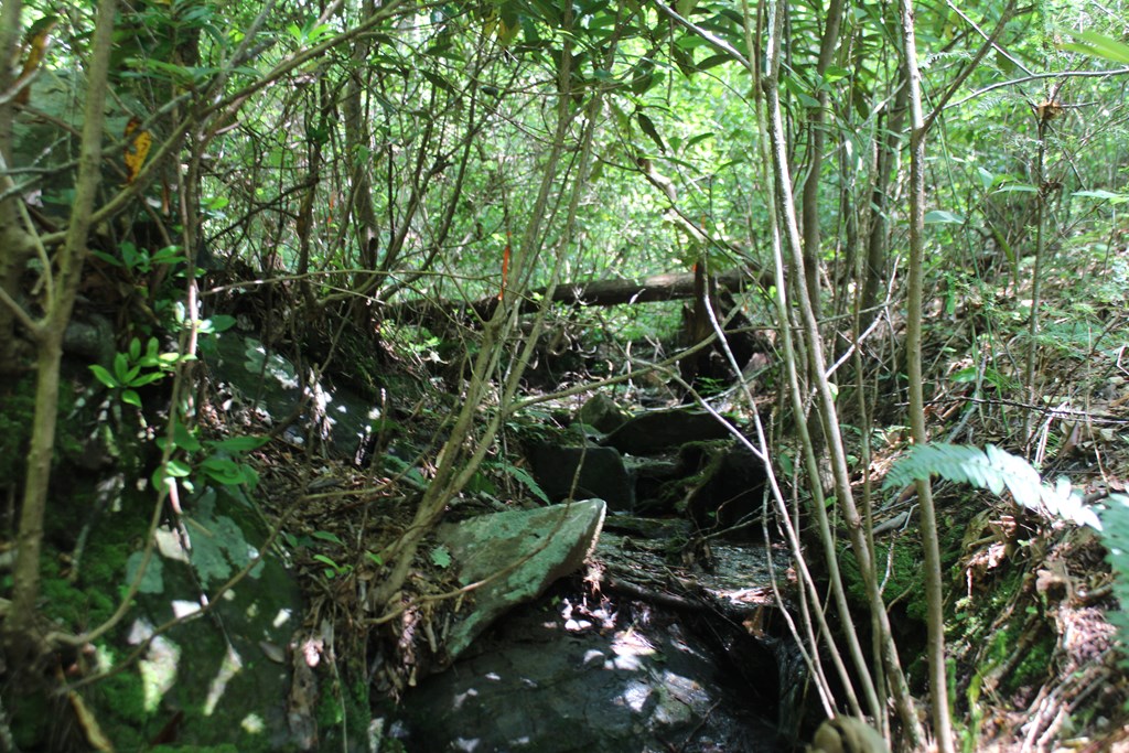 Lot 25 N Shelton Springs Drive