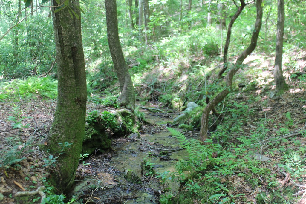 Lot 25 N Shelton Springs Drive