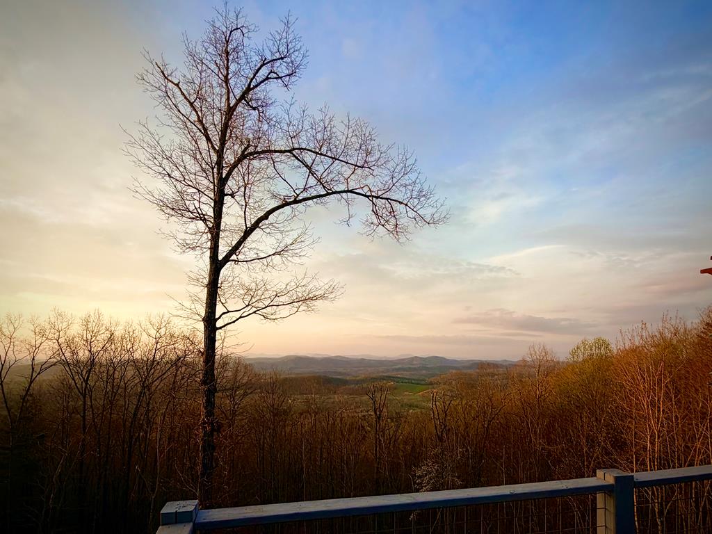 111 Trophy Buck Pointe