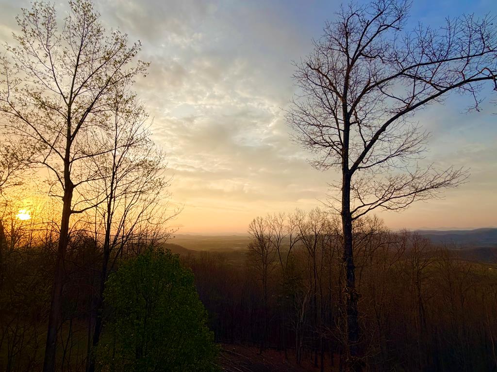 111 Trophy Buck Pointe