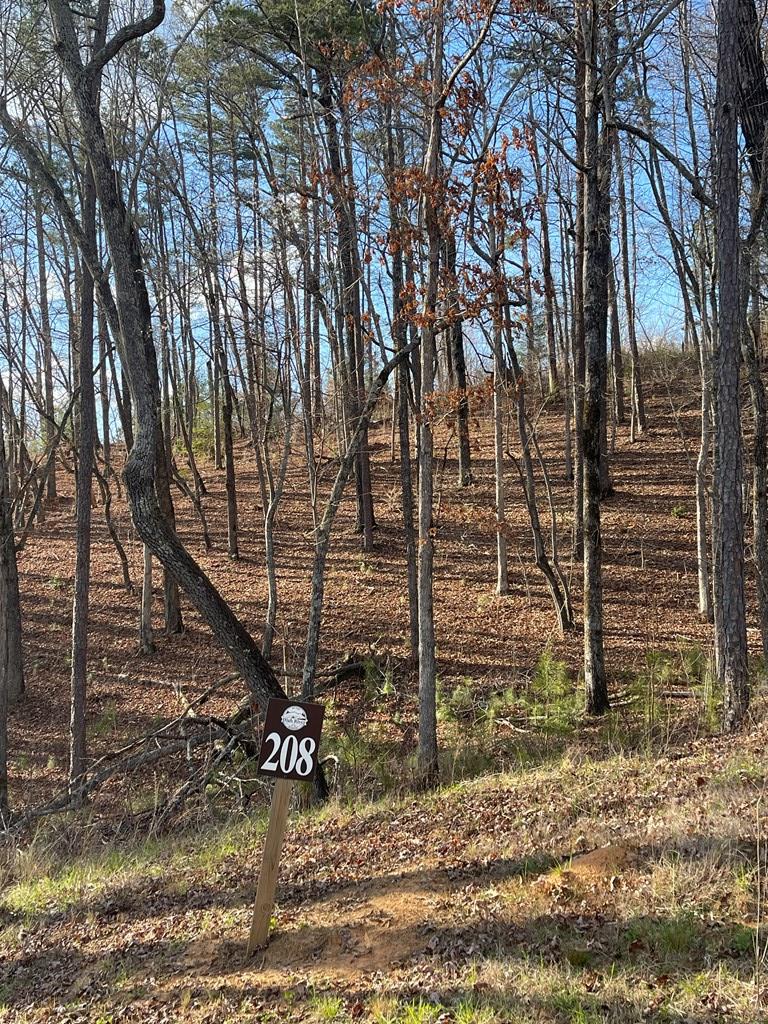 Lot# 208 Pinnacle Drive