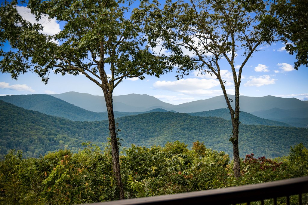 260 Huckleberry Hollow