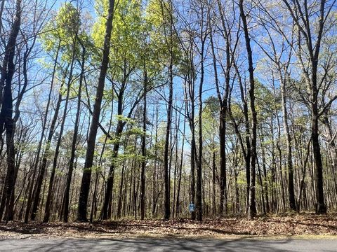 Lot 93 Doll Mountain Road Ellijay GA 30540