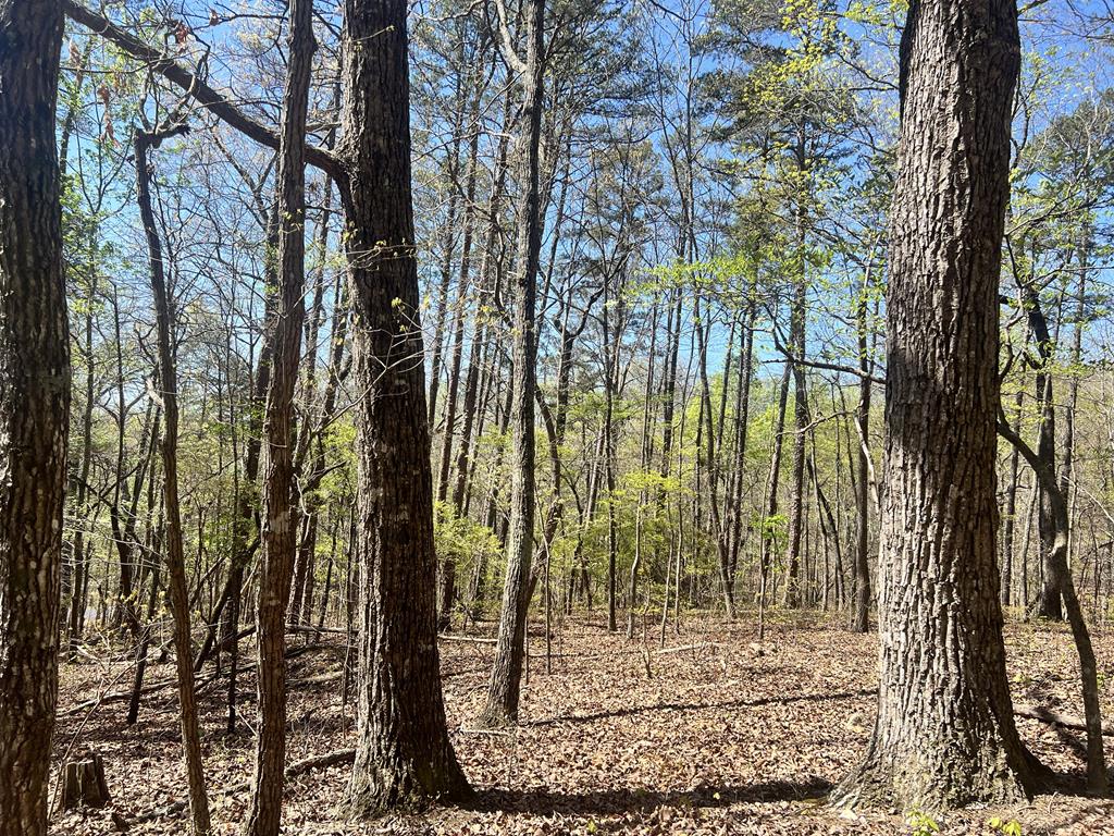 Lot 93 Doll Mountain Road