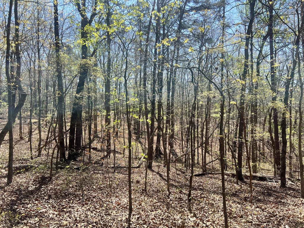 Lot 93 Doll Mountain Road